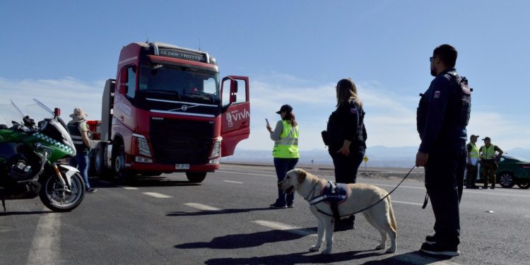 Tarapacá y Arica y Parinacota realizan operativo conjunto en el marco del Plan Regional contra el Crimen Organizado
