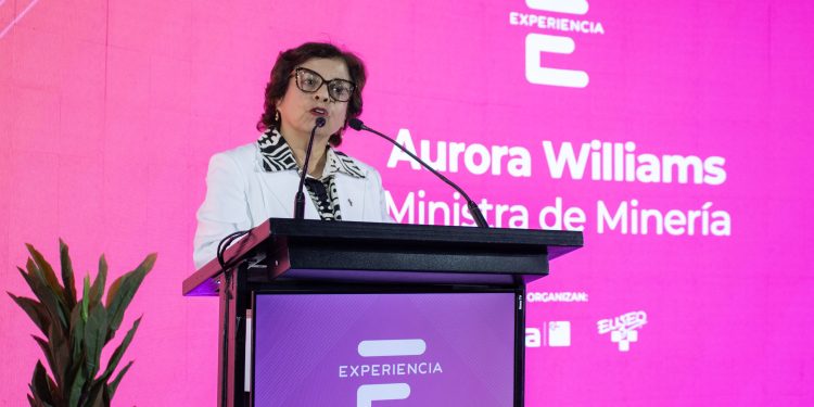 Ministra de Minería resaltó el llamado de Chile a liderar la sostenibilidad a nivel mundial