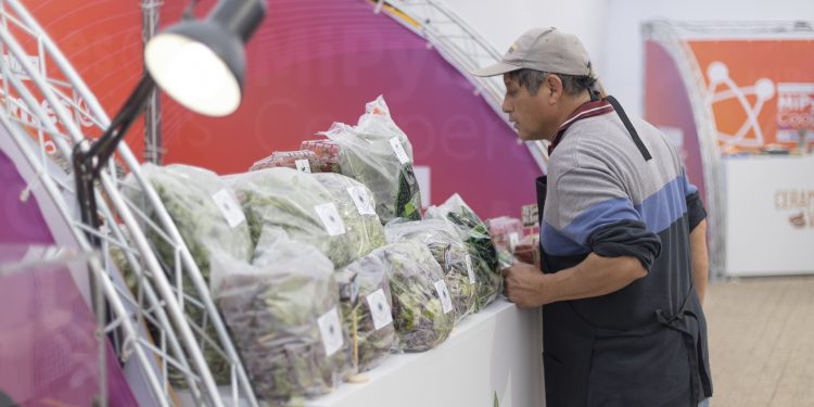 Chile Emprende: El sitio web que agrupa toda la oferta pública de apoyo para los emprendedores