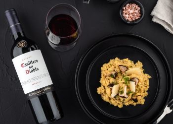 El mundo celebra el Día del Merlot: Un clásico entre los vinos tintos