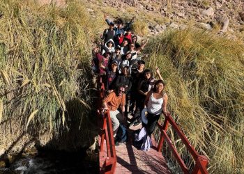 Explora capacita a estudiantes de San Pedro de Atacama en conservación de flamencos y monitoreo comunitario de aguas