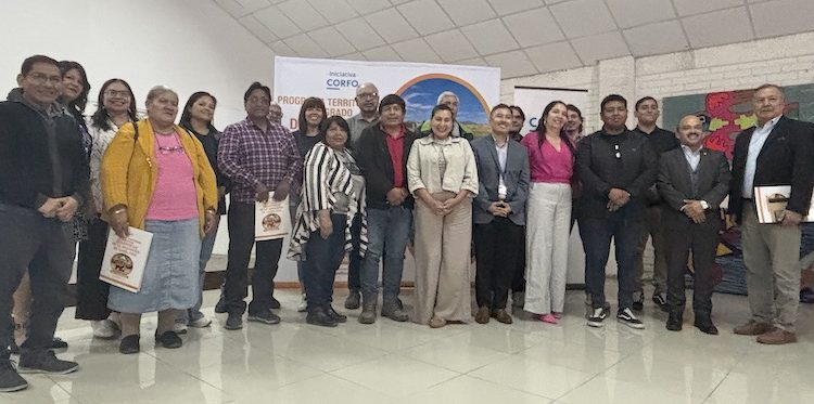 Retoman actividades de programa público-privado en torno a la ganadería camélida