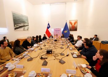 Universidad de Chile y MINCAP presentan Plataforma del Ecosistema del Libro y la Lectura