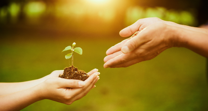 Abren postulaciones al sello que reconoce a las mipymes y cooperativas sustentables del país