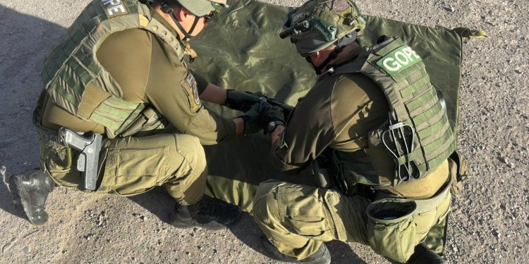 Carabineros detuvo en avanzada de Quillagua a pasajero que trasladaba una granada