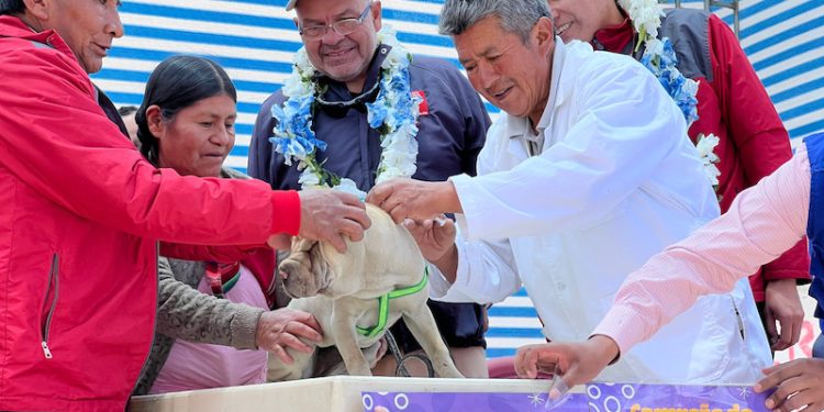 Ministerios de Salud de Chile y Bolivia realizan hito bilateral de vacunación contra la rabia en Pisiga