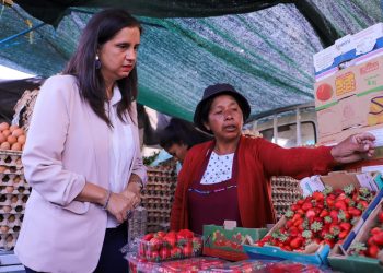 Ministra de Agricultura destaca la labor del SAG y otros organismos del  Estado para combatir el ingreso ilegal de productos silvoagropecuarios en la región de Arica