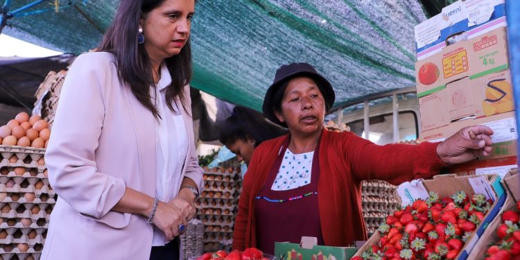Ministra de Agricultura destaca la labor del SAG y otros organismos del  Estado para combatir el ingreso ilegal de productos silvoagropecuarios en la región de Arica