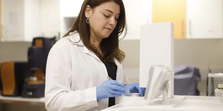 Algas marinas chilenas, una solución sustentable que podría transformar la industria alimentaria