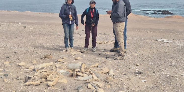 Bienes Nacionales y el CMN realizan visita técnica a Chanavayita para resguardar sitios patrimoniales