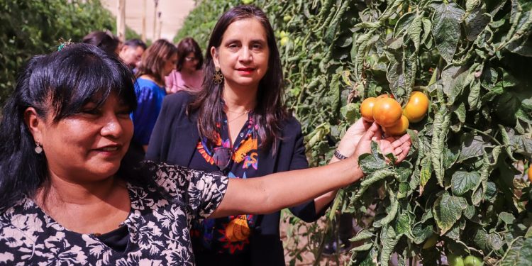 Ministra de Agricultura da el vamos nacional a la temporada de Turismo Rural 2025-2026 desde Codpa