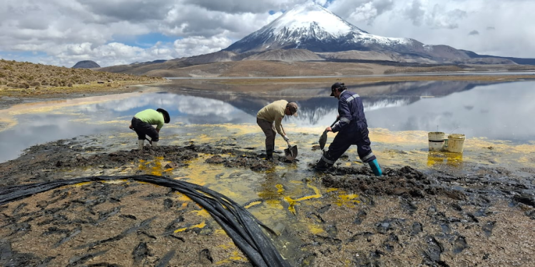 CORES exigen acción enérgica de Cancillería ante reiterados derrames de camiones bolivianos