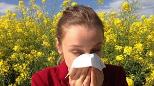 ¿Resfrío o alergia?