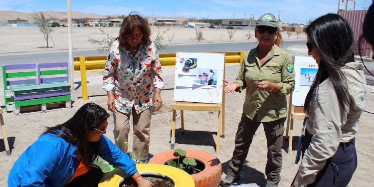 Pozo Almonte: Municipio y CONAF inauguran plazoleta Nayra Pacha para el bienestar de la primera infancia