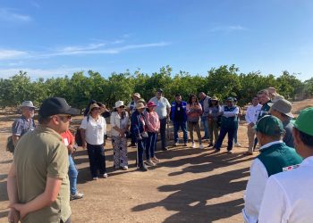 Productores de Arica y Parinacota fortalecen lazos con Tacna para el control de la mosca de la fruta