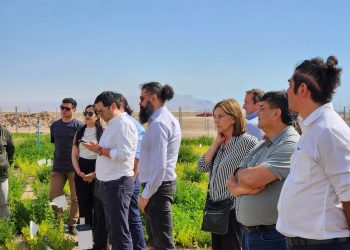 Encuentro sobre escasez hídrica permite la articulación de la ciencia, la agricultura y el territorio en Arica y Parinacota