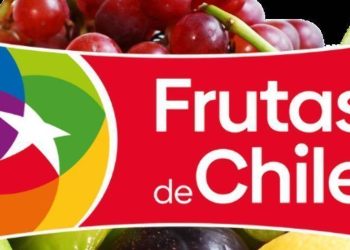 Declaración de Frutas de Chile