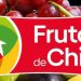 Declaración de Frutas de Chile