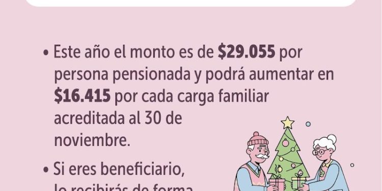 Aguinaldo de Navidad 2025: Más de 35 mil pensionadas y pensionado beneficiados en Región de Tarapacá