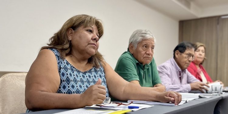 En Tarapacá difunden resultados de la Consulta Indígena del Reglamento de Bicombustibles Sólidos