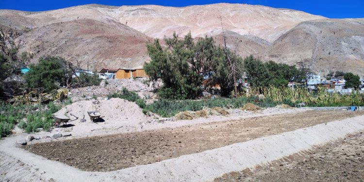 Abren concurso para postular al Programa para la Recuperación de Suelos Degradados SIRSD-S 2026