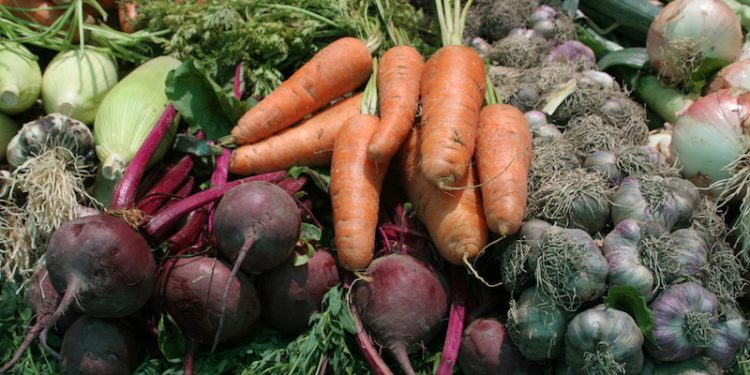 Consejo de ACHIPIA aprueba Política Nacional de Inocuidad y Calidad Alimentaria 2026–2036