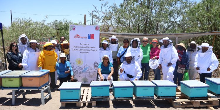 Fundación Collahuasi y Seremi de Agricultura entregan colmenas para fomentar la apicultura en El Tamarugal