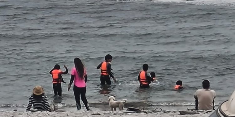 Avances en el Plan de Gestión Integral del Humedal Urbano Playa Blanca