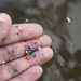Informe global advierte alza de contaminación por plástico y reabre debate sobre hábitos de hidratación en Chile