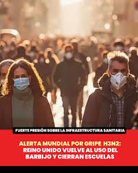 Tras cierre de colegios en Reino Unido: ¿Qué se sabe de la Supergripe H3N2 y por qué genera tanta preocupación?
