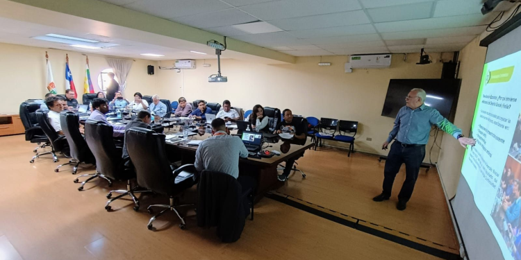 Servicios públicos realizan nuevos requerimientos al proyecto de electrificación de la comuna de General Lagos