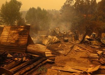Más de 22 mil hectáreas quemadas: El balance tras los masivos incendios en Ñuble y Biobío