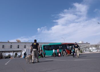 PDI Arica detuvo a imputado por tráfico de drogas en complejo Fronterizo Chacalluta