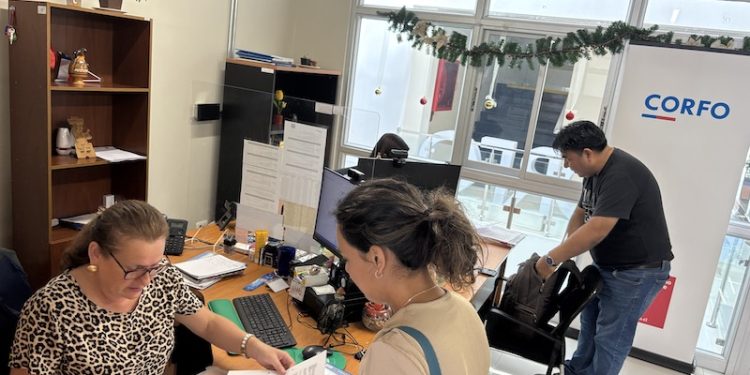 DFL15: 101 postulaciones se presentaron por inversiones productivas en Arica y Parinacota