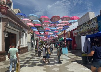INE: Desempleo en Arica y Parinacota disminuye 2 puntos y se ubica en 5,9%