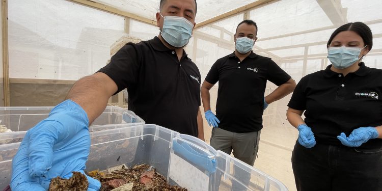 Semilla Expande busca apoyar el despegue comercial de emprendimientos consolidados