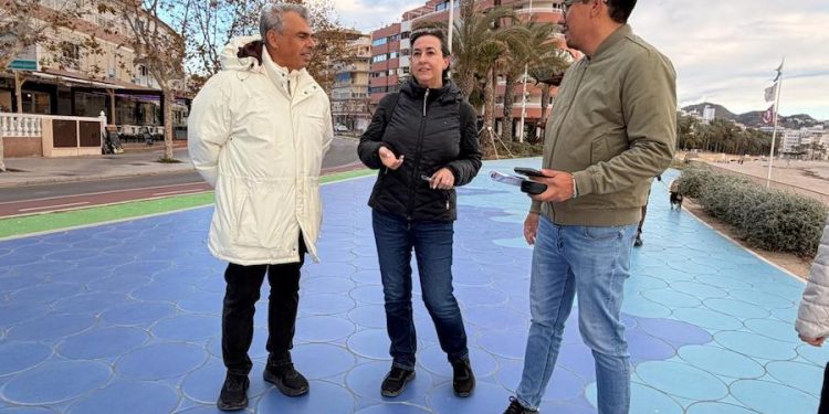 Municipalidad de Iquique recoge experiencia en accesibilidad e inclusión del principal destino turístico de España