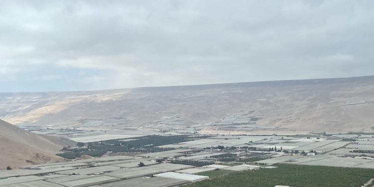 Consultoría experta inició diseño de hoja de ruta para programa Agroalimentario