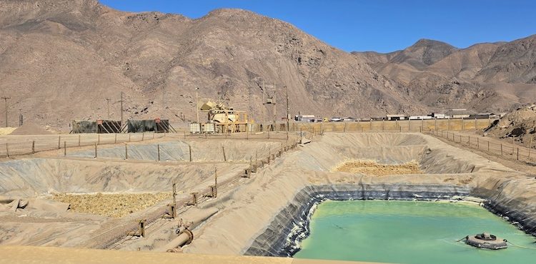 Universidades e industria minera se unen para recuperar cobalto desde relaves usando microorganismos