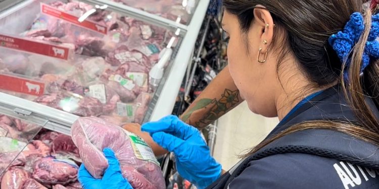 SEREMI de Salud de Tarapacá presenta balance de fiscalizaciones de alimentos realizadas durante el fin de año 2025
