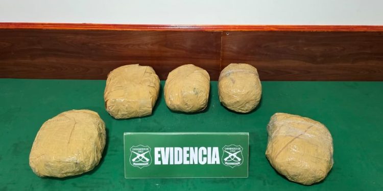 Carabineros incautó cinco kilos de marihuana en Terminal Rodoviario Iquique