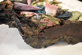 Banco Central explica cómo recuperar dinero dañado tras incendios o desastres naturales