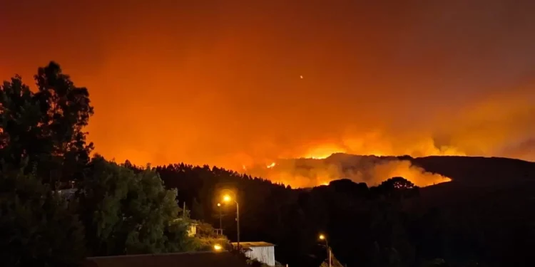 Balance preliminar cifra en 253 las casas destruidas por incendio forestal en la comuna de Concepción