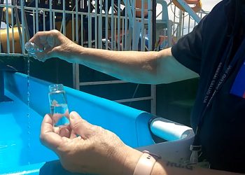 Salud intensifica fiscalización a piscinas de uso público