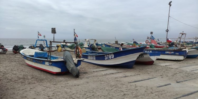 Sernapesca publica nóminas finales de caducidad en el registro pesquero artesanal y abre proceso de reclamaciones