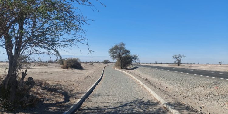 Bienes Nacionales licitará 10 terrenos para proyectos agrícolas en La Tirana