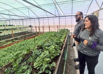 Seremi de Bienes Nacionales conoció diversos proyectos productivos de SQM en Provincia del Tamarugal