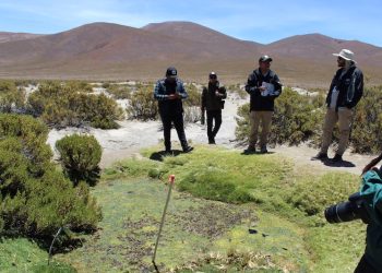 Comunidad de Cancosa y CONAF Tarapacá celebraron el Día de los Humedales con visita territorial a  Lagunillas