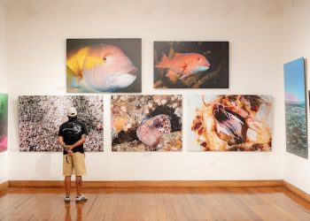 “Iquique, Mar de Campeones” supera las 3 mil 700 visitas en su primer mes en Sala de Arte Casa Collahuasi