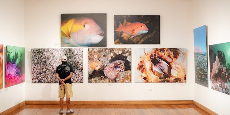 “Iquique, Mar de Campeones” supera las 3 mil 700 visitas en su primer mes en Sala de Arte Casa Collahuasi
